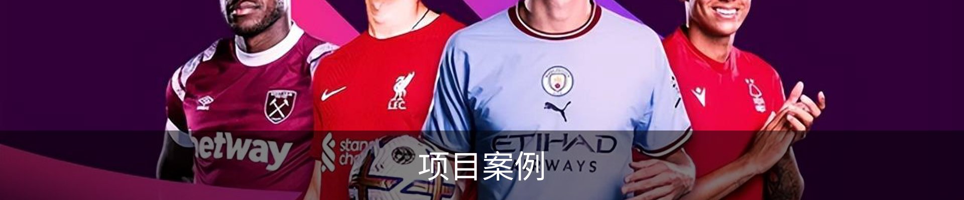 项目案例